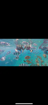 武藤潜水に投稿された画像（2023/7/5）