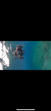 武藤潜水に投稿された画像（2023/7/5）