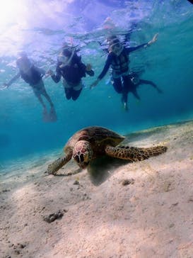 nico 宮古島に投稿された画像（2023/7/5）