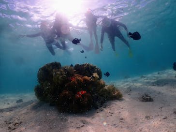 nico 宮古島に投稿された画像（2023/7/5）