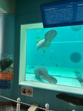沖縄美ら海水族館に投稿された画像（2023/7/5）