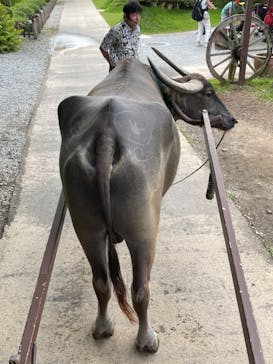 ビオスの丘に投稿された画像（2023/7/5）