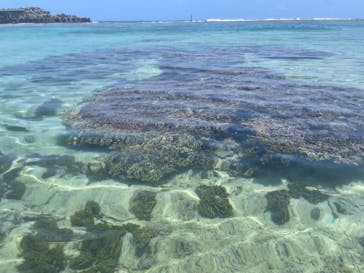 宮古島リゾートスポーツに投稿された画像（2023/7/5）