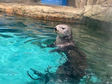 マリンワールド海の中道に投稿された画像（2023/7/6）