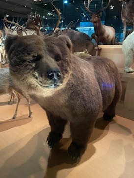 国立科学博物館に投稿された画像（2023/7/6）