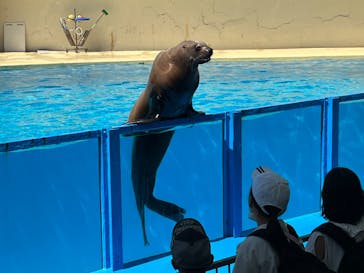 下田海中水族館に投稿された画像（2023/7/6）