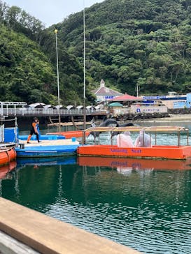 下田海中水族館に投稿された画像（2023/7/6）