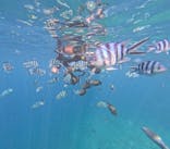 沖縄マリンサービス碧に投稿された画像（2023/7/6）