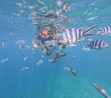 沖縄マリンサービス碧に投稿された画像（2023/7/6）