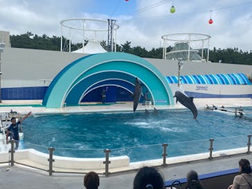 鴨川シーワールドに投稿された画像（2023/7/6）