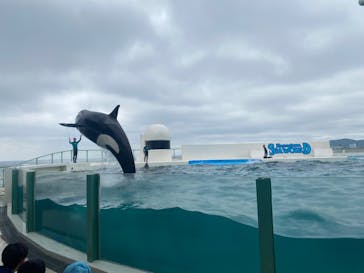 鴨川シーワールドに投稿された画像（2023/7/6）