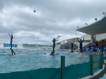 鴨川シーワールドに投稿された画像（2023/7/6）