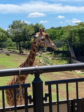 よこはま動物園ズーラシアに投稿された画像（2023/7/6）
