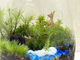 苔工房アイモスに投稿された画像（2023/7/6）