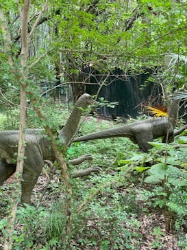 みろくの里に投稿された画像（2023/7/6）