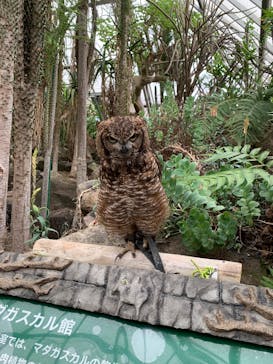 伊豆シャボテン動物公園に投稿された画像（2023/7/6）