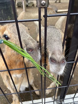 伊豆シャボテン動物公園に投稿された画像（2023/7/6）