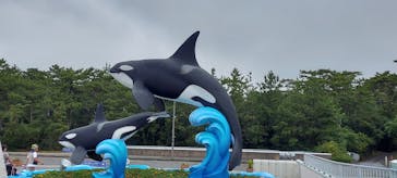 鴨川シーワールドに投稿された画像（2023/7/6）