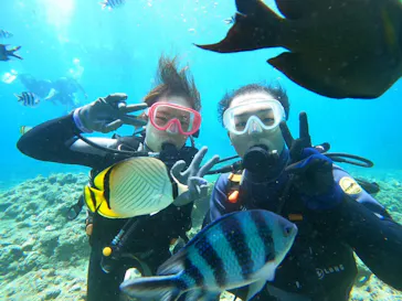 武藤潜水に投稿された画像（2023/7/7）