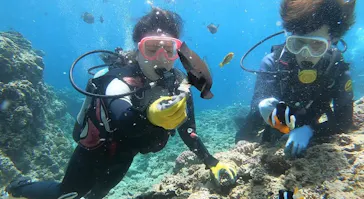 武藤潜水に投稿された画像（2023/7/7）