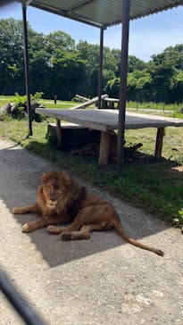 那須サファリパークに投稿された画像（2023/7/7）