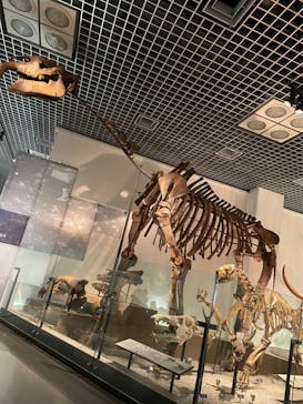国立科学博物館に投稿された画像（2023/7/7）