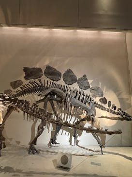 国立科学博物館に投稿された画像（2023/7/7）