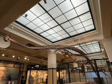 国立科学博物館に投稿された画像（2023/7/7）