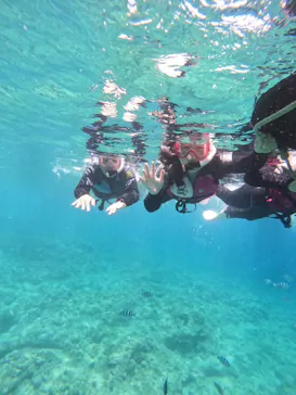 武藤潜水に投稿された画像（2023/7/7）