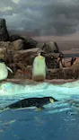 名古屋港水族館に投稿された画像（2023/7/7）