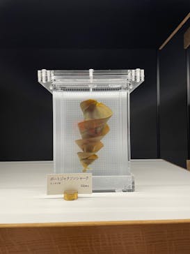 アクアワールド茨城県大洗水族館に投稿された画像（2023/7/7）