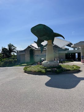 沖縄美ら海水族館に投稿された画像（2023/7/7）