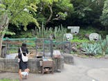 伊豆シャボテン動物公園に投稿された画像（2023/7/7）