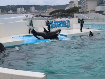 鴨川シーワールドに投稿された画像（2023/7/7）