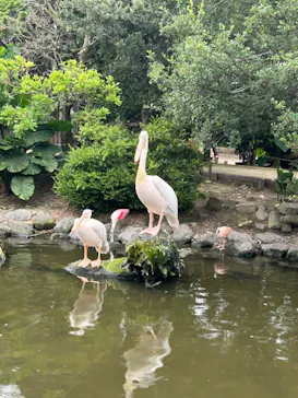 神戸どうぶつ王国に投稿された画像（2023/7/7）