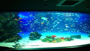 サンシャイン水族館に投稿された画像（2023/7/7）
