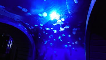 サンシャイン水族館に投稿された画像（2023/7/7）