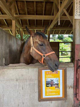 成田ゆめ牧場に投稿された画像（2023/7/7）