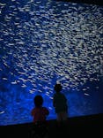 大分マリーンパレス水族館 「うみたまご」に投稿された画像（2023/7/8）