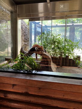 よこはま動物園ズーラシアに投稿された画像（2023/7/7）