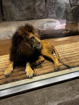 よこはま動物園ズーラシアに投稿された画像（2023/7/7）