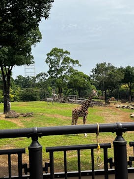 よこはま動物園ズーラシアに投稿された画像（2023/7/7）