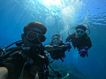 DIVING-SHOP SUNSに投稿された画像（2023/7/8）