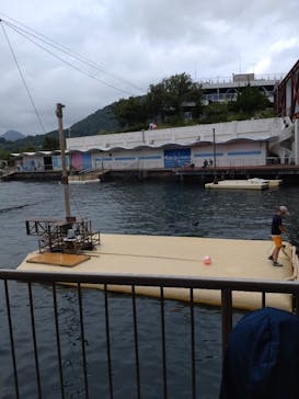 伊豆・三津シーパラダイスに投稿された画像（2023/7/8）