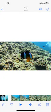 武藤潜水に投稿された画像（2023/7/8）