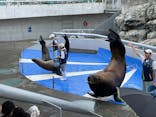 大分マリーンパレス水族館 「うみたまご」に投稿された画像（2023/7/8）