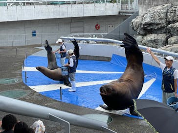 大分マリーンパレス水族館 「うみたまご」に投稿された画像（2023/7/8）
