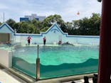 しながわ水族館に投稿された画像（2023/7/8）