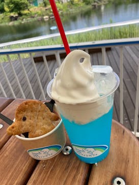 しながわ水族館に投稿された画像（2023/7/8）