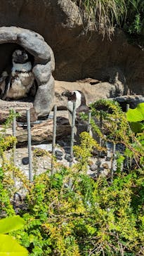 サンシャイン水族館に投稿された画像（2023/7/8）
